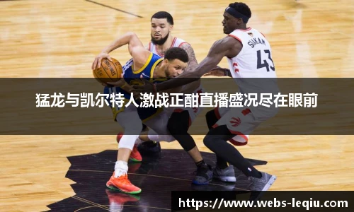 乐球体育直播